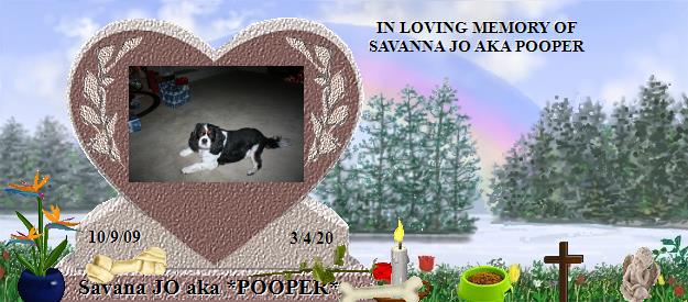 Savana JO aka *POOPER*'s Rainbow Bridge Pet Loss Memorial Residency Image