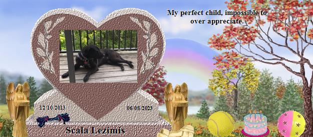Scala Lezimis's Rainbow Bridge Pet Loss Memorial Residency Image