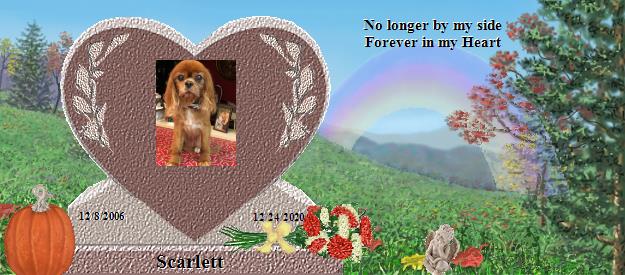 Scarlett's Rainbow Bridge Pet Loss Memorial Residency Image