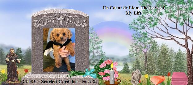 Scarlett Cordelia's Rainbow Bridge Pet Loss Memorial Residency Image