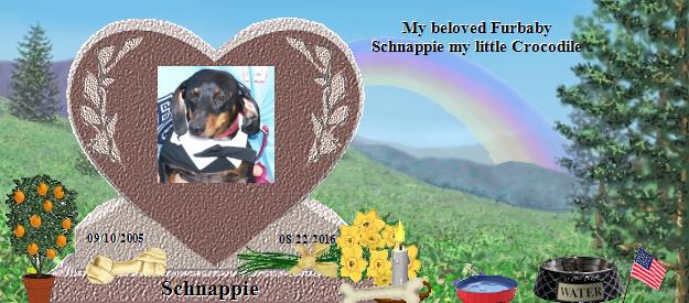 Schnappie's Rainbow Bridge Pet Loss Memorial Residency Image