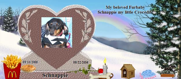 Schnappie's Rainbow Bridge Pet Loss Memorial Residency Image
