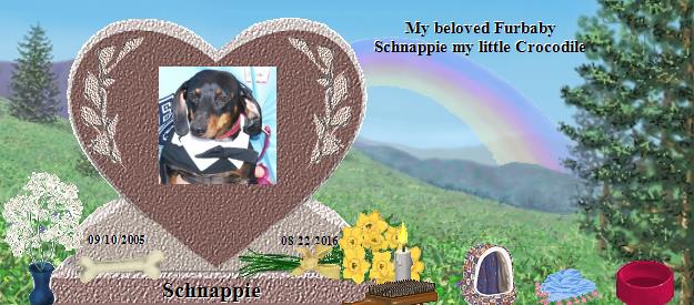 Schnappie's Rainbow Bridge Pet Loss Memorial Residency Image