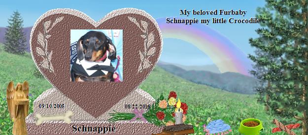 Schnappie's Rainbow Bridge Pet Loss Memorial Residency Image