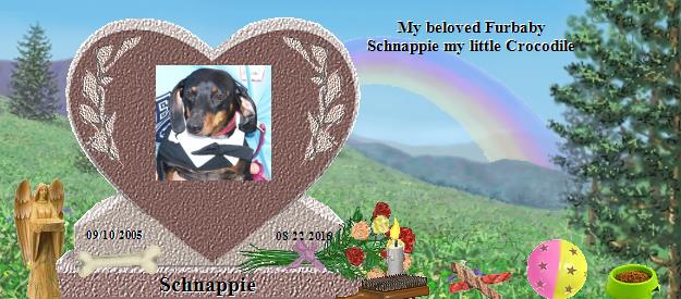 Schnappie's Rainbow Bridge Pet Loss Memorial Residency Image