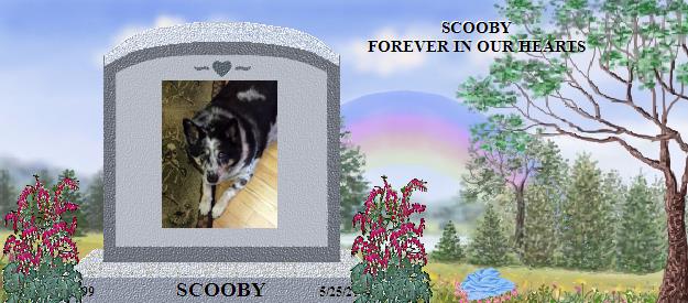 SCOOBY's Rainbow Bridge Pet Loss Memorial Residency Image