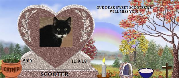 SCOOTER's Rainbow Bridge Pet Loss Memorial Residency Image