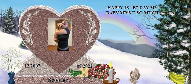 Scooter's Rainbow Bridge Pet Loss Memorial Residency Image