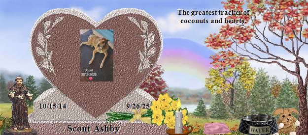 Scout Ashby's Rainbow Bridge Pet Loss Memorial Residency Image