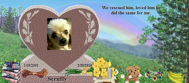 Scruffy's Rainbow Bridge Pet Loss Memorial Residency Image