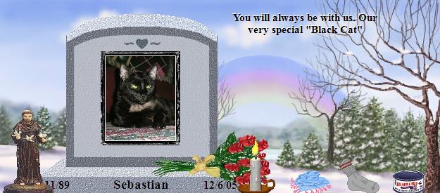 Sebastian's Rainbow Bridge Pet Loss Memorial Residency Image