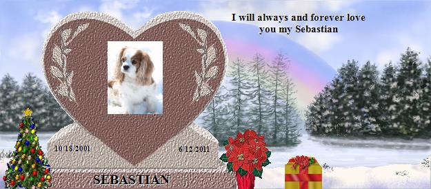 SEBASTIAN's Rainbow Bridge Pet Loss Memorial Residency Image