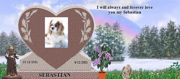 SEBASTIAN's Rainbow Bridge Pet Loss Memorial Residency Image