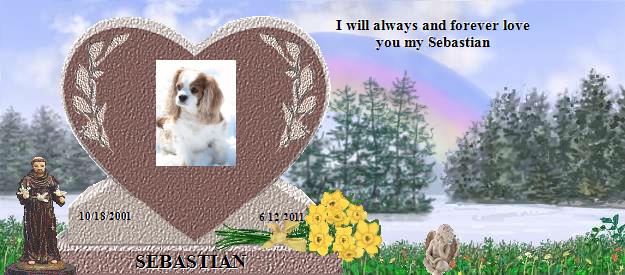 SEBASTIAN's Rainbow Bridge Pet Loss Memorial Residency Image