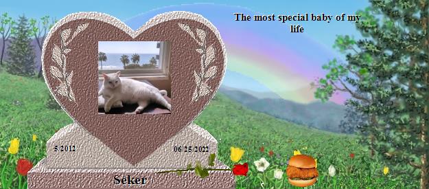 Seker's Rainbow Bridge Pet Loss Memorial Residency Image