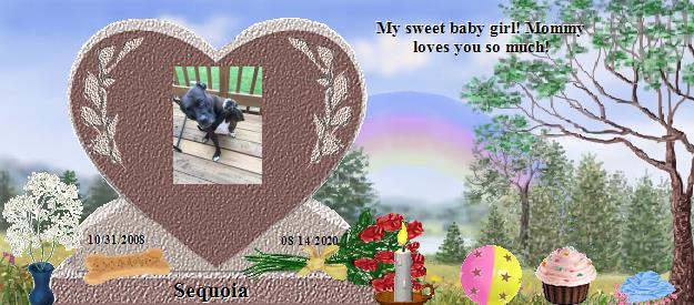 Sequoia's Rainbow Bridge Pet Loss Memorial Residency Image