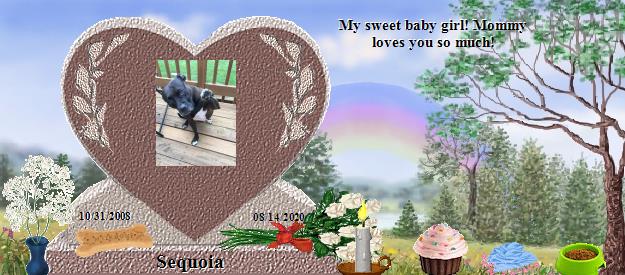Sequoia's Rainbow Bridge Pet Loss Memorial Residency Image