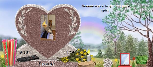 Sesame's Rainbow Bridge Pet Loss Memorial Residency Image