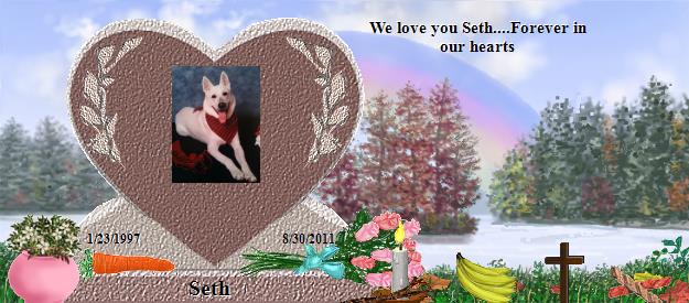 Seth's Rainbow Bridge Pet Loss Memorial Residency Image