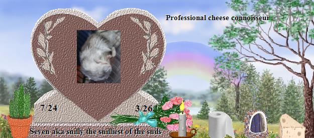 Seven aka snilly the snilliest of the snils's Rainbow Bridge Pet Loss Memorial Residency Image
