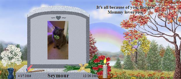 Seymour's Rainbow Bridge Pet Loss Memorial Residency Image