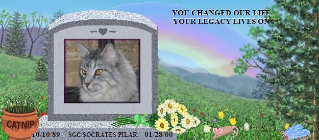 SGC SOCRATES PILAR's Rainbow Bridge Pet Loss Memorial Residency Image