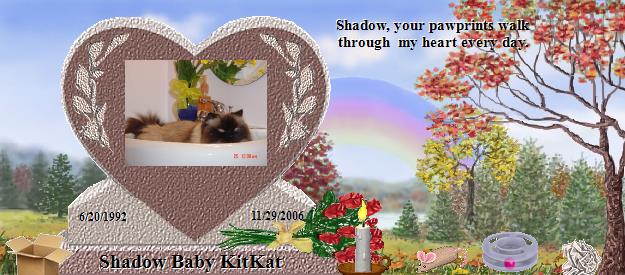 Shadow Baby KitKat's Rainbow Bridge Pet Loss Memorial Residency Image