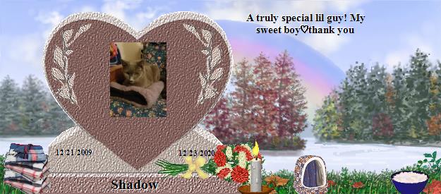 Shadow's Rainbow Bridge Pet Loss Memorial Residency Image