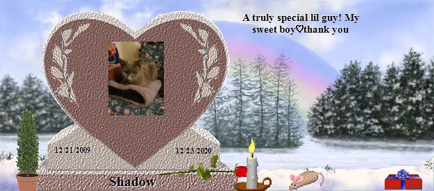 Shadow's Rainbow Bridge Pet Loss Memorial Residency Image