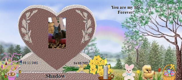 Shadow's Rainbow Bridge Pet Loss Memorial Residency Image