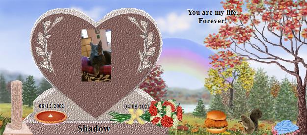 Shadow's Rainbow Bridge Pet Loss Memorial Residency Image