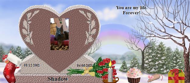 Shadow's Rainbow Bridge Pet Loss Memorial Residency Image