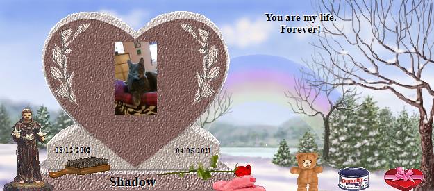 Shadow's Rainbow Bridge Pet Loss Memorial Residency Image