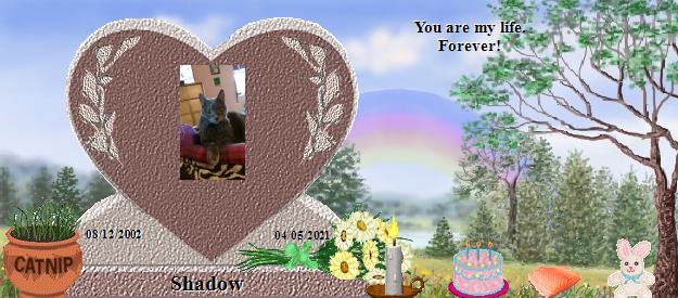 Shadow's Rainbow Bridge Pet Loss Memorial Residency Image