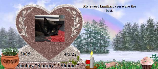 Shadow "Sammy" "Shlams"'s Rainbow Bridge Pet Loss Memorial Residency Image