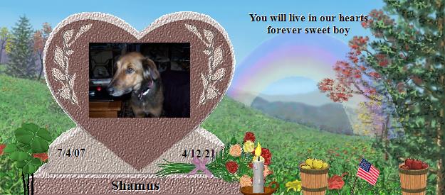 Shamus's Rainbow Bridge Pet Loss Memorial Residency Image