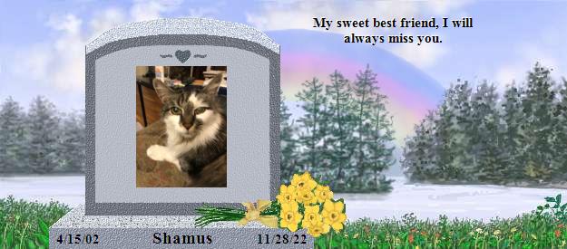 Shamus's Rainbow Bridge Pet Loss Memorial Residency Image