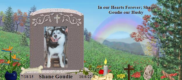 Shane Goudie's Rainbow Bridge Pet Loss Memorial Residency Image
