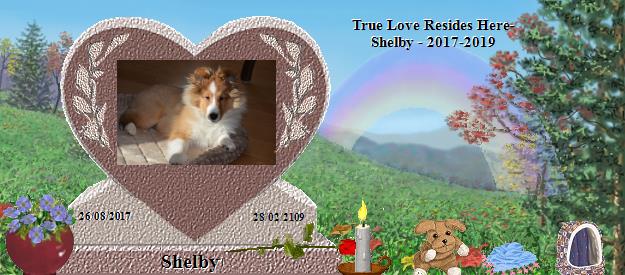 Shelby's Rainbow Bridge Pet Loss Memorial Residency Image