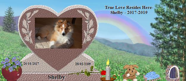 Shelby's Rainbow Bridge Pet Loss Memorial Residency Image