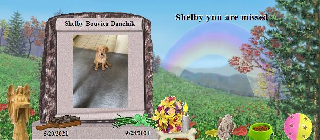Shelby Bouvier Danchik's Rainbow Bridge Pet Loss Memorial Residency Image