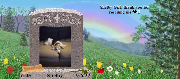 Shelby's Rainbow Bridge Pet Loss Memorial Residency Image