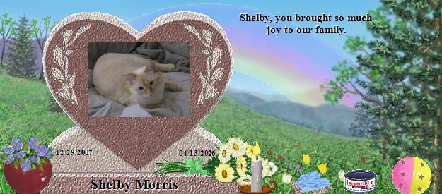 Shelby Morris's Rainbow Bridge Pet Loss Memorial Residency Image