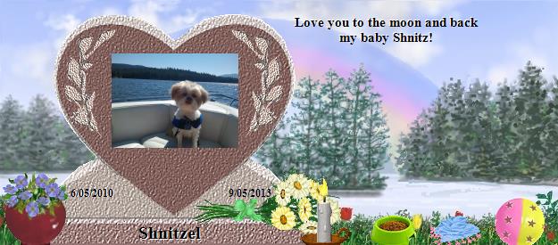 Shnitzel's Rainbow Bridge Pet Loss Memorial Residency Image