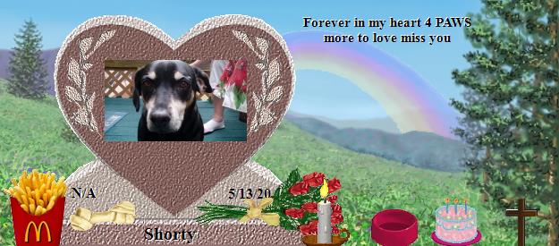 Shorty's Rainbow Bridge Pet Loss Memorial Residency Image