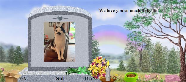 Sid's Rainbow Bridge Pet Loss Memorial Residency Image