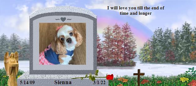 Sienna's Rainbow Bridge Pet Loss Memorial Residency Image