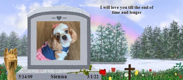 Sienna's Rainbow Bridge Pet Loss Memorial Residency Image
