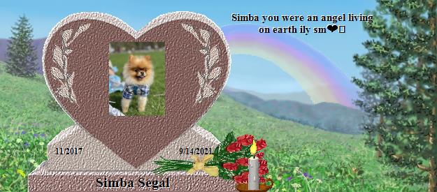 Simba Segal's Rainbow Bridge Pet Loss Memorial Residency Image