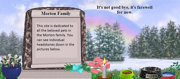Morton Family's Rainbow Bridge Pet Loss Memorial Residency Image